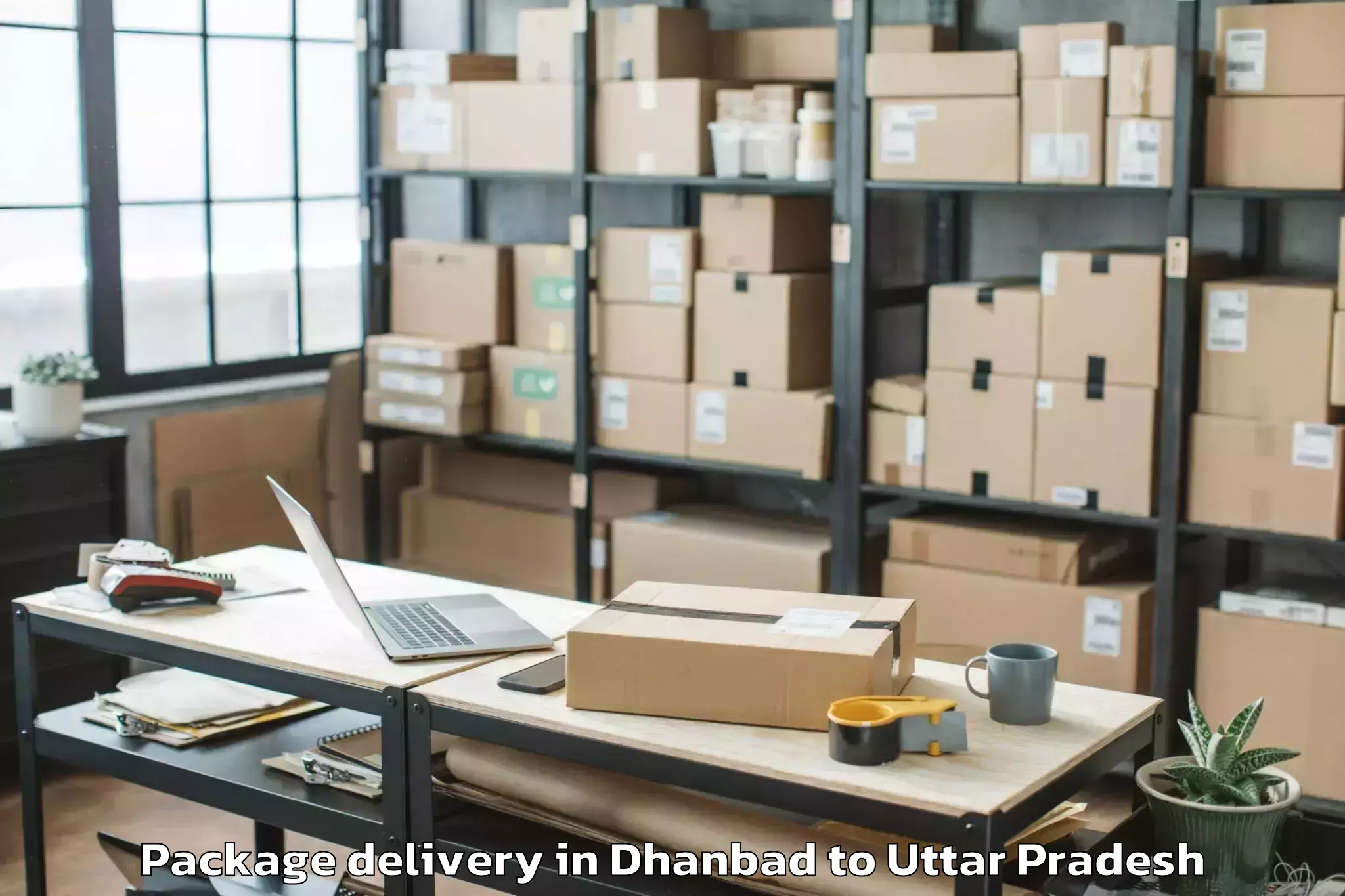 Affordable Dhanbad to Mehndawal Package Delivery